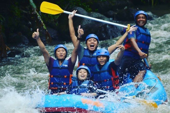 White Water Rafting and Rice Terrace Tegalalang (Ubud pick up) image