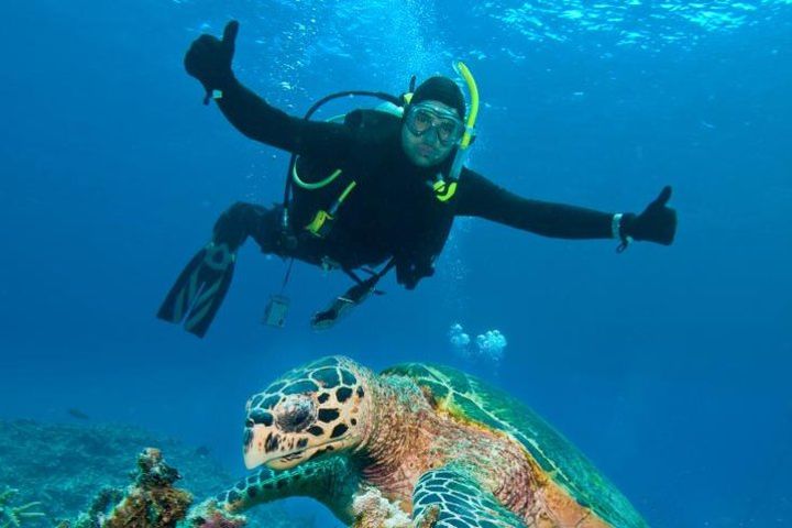 St Maarten Scuba Diving for Certified Divers image