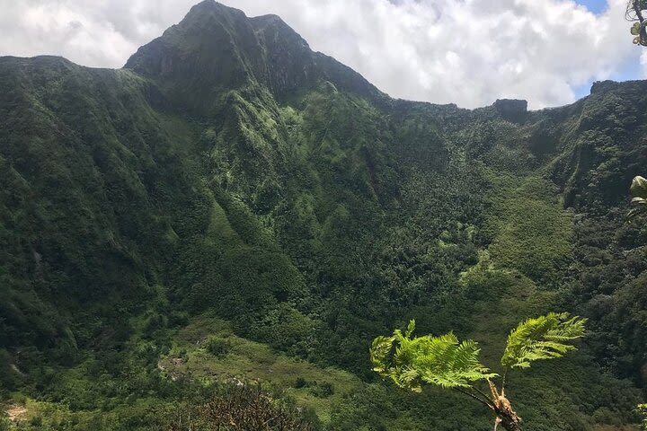 Hiking Mount Liamuiga Volcano in St Kitts image