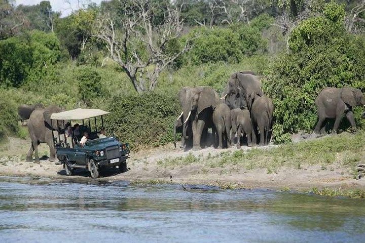 Chobe Full Day Trip image