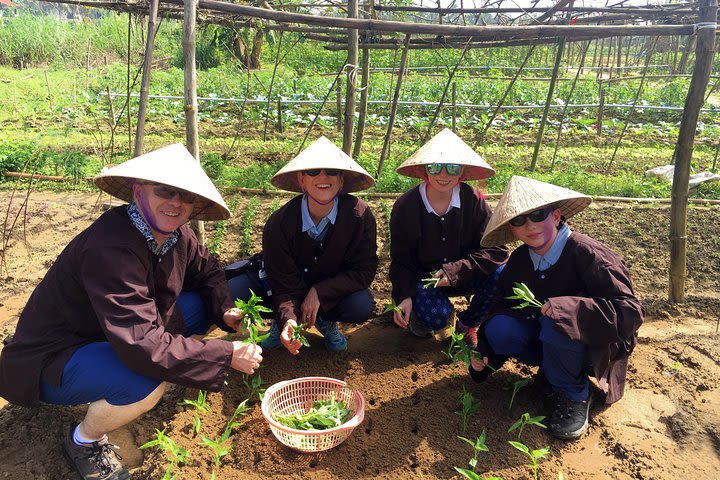 Cooking Class And Visit An Organic Farm image