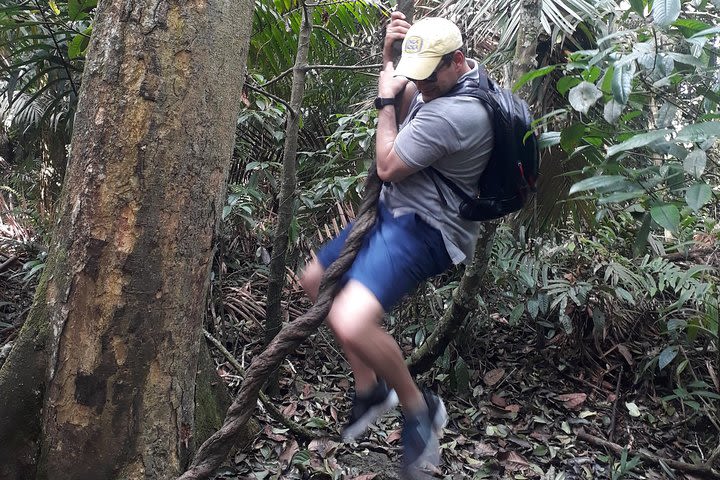 Soberania National Park Hike - Private  image