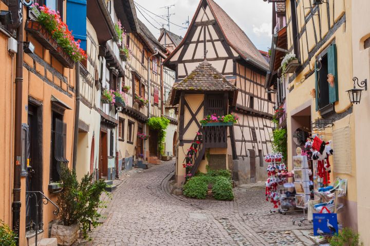 Alsace Villages & Wines Half Day from Colmar (private) image