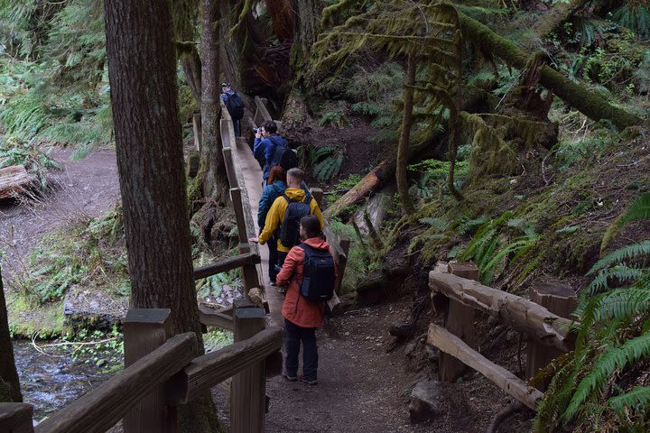 Lake Crescent and Marymere Falls Guided Tour in Olympic National Park image