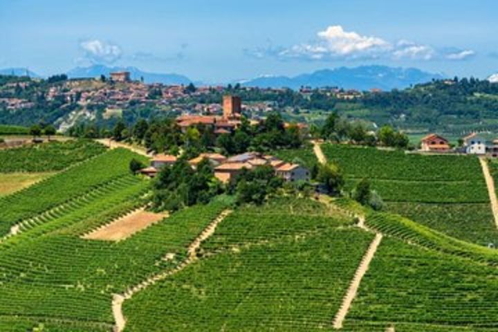 Alba Wine Tours, Private Tasting Experience around Langhe area.  image