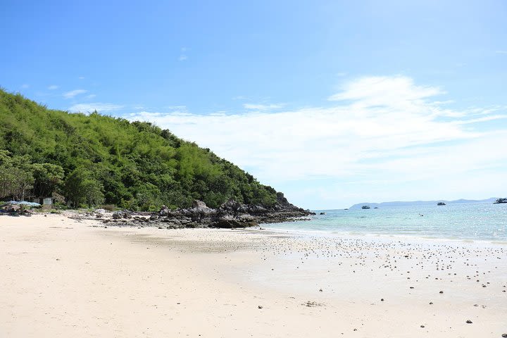 A Coral Island Day Away from Pattaya image