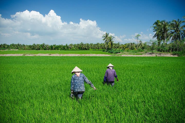 Mekong Local For A Day - Private Tour image