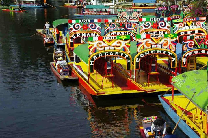 COMBO: City Tour + Xochimilco in One Day image