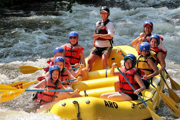 White Water Rafting Adventure on Songprak River from Krabi image