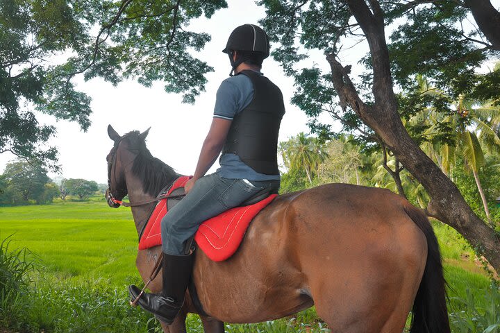 Horse Riding for Beginners from Sigiriya image