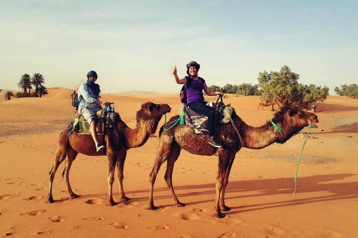 Camel Ride & Overnight Berber Camps in Merzouga Desert image