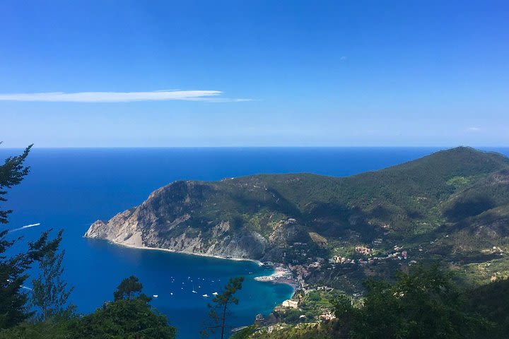 Cinque Terre Private Tour from Livorno image