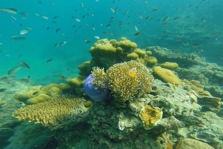 4-Island Adventure with Emerald Cave image