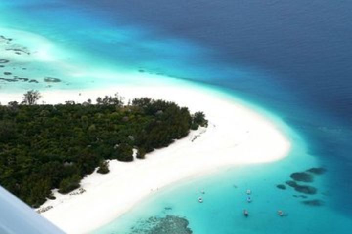 Half-Day Dolphin & Snorkeling Tour in Mnemba Island Zanzibar with Hotel Pickup image