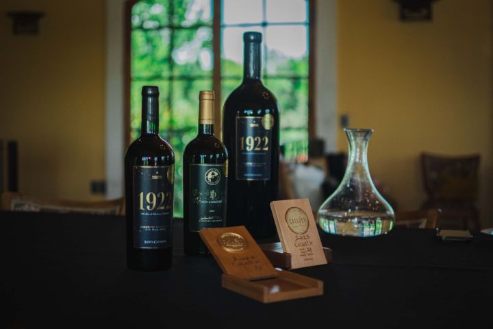  Tour Viña Santa Catalina: Cata de Vinos cerca de Santiago image