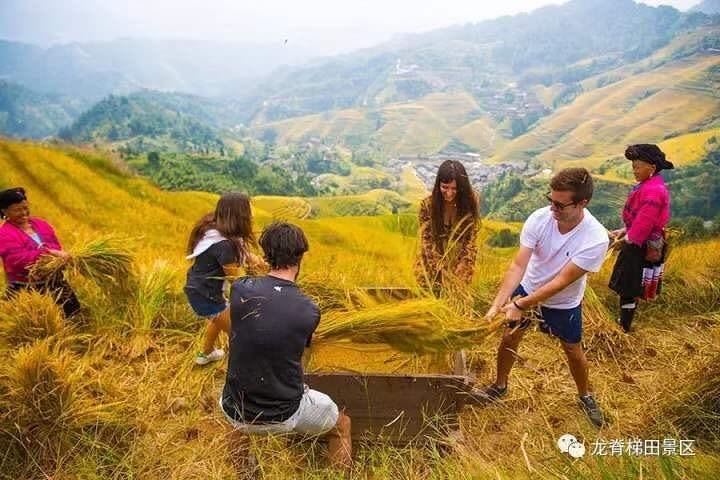 Private day tour: Longji rice terraces & Minority Villages Tour image