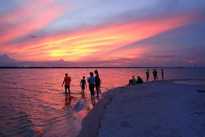 Coastal Sunset, Bioluminescence & Glow Paddle Tour  image