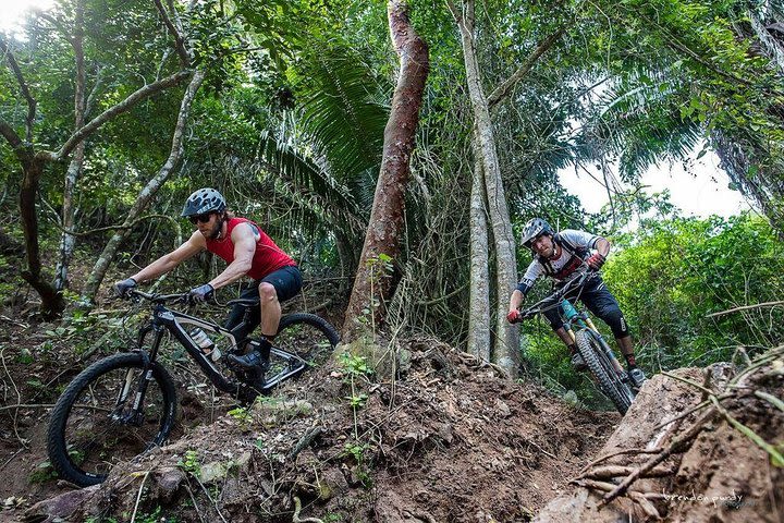 SINGLETRACK MOUNTAIN BIKE - Guided through the jungle image