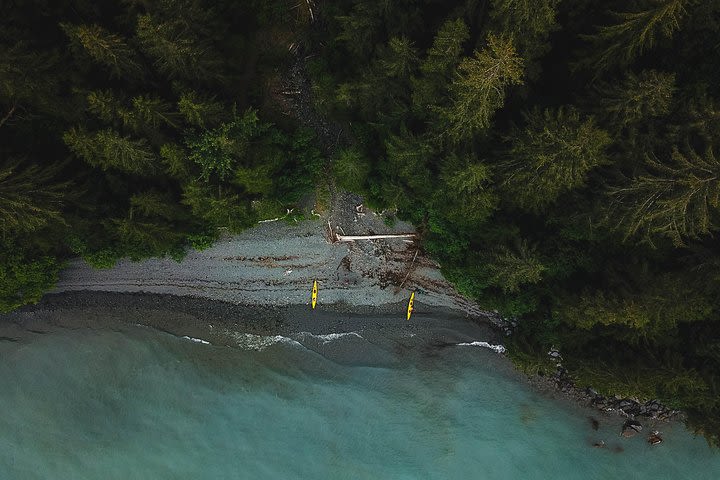 Tonsina Point Kayak and Exploration image