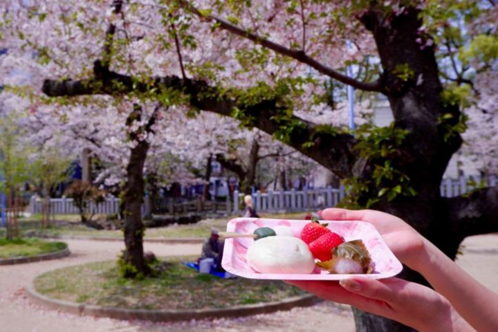 Osaka: Daytime Hanami (Cherry Blossom) and Food Tour image