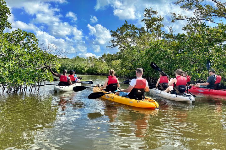 Mangrove Tunnel Kayak Eco Tour image