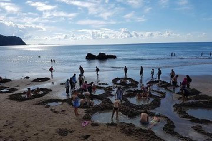 Coromandel Day Trip (Cathedral Cove and Hot Water Beach) image