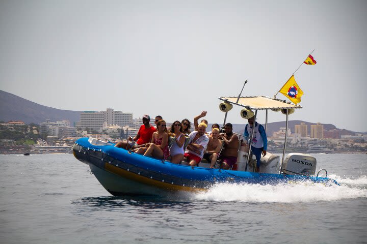 SEA SAFARI TENERIFE Private Tour. Puerto Colon. Los Gigantes, Masca. Bladefish image