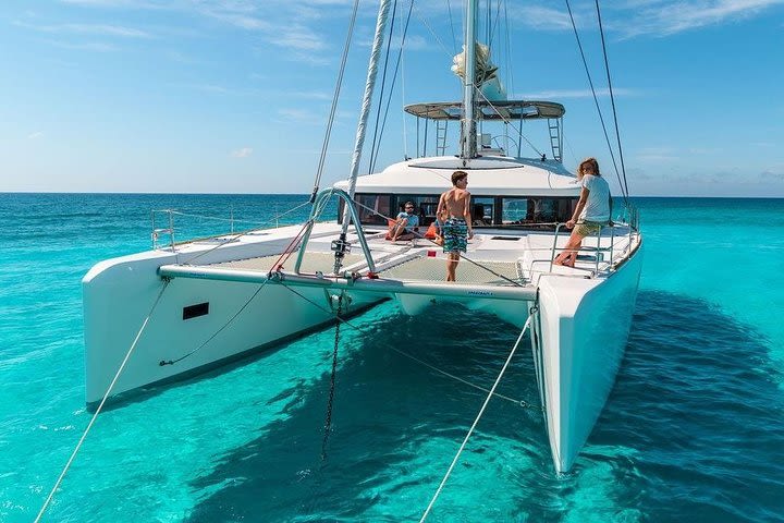 Catamaran image