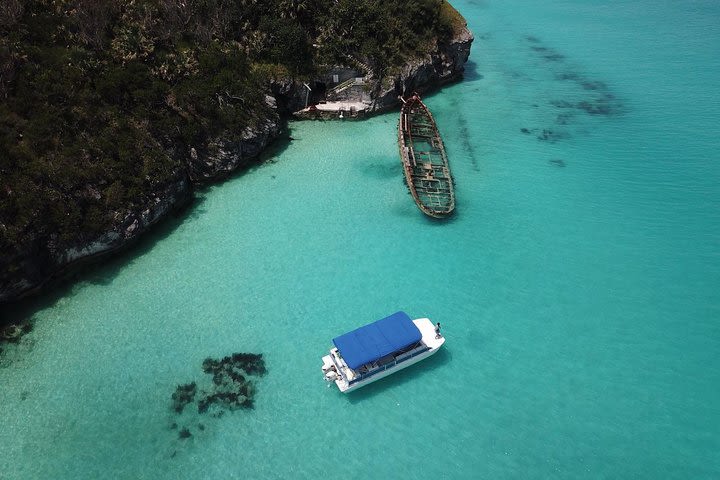 Bermuda Snorkel Tour: Reefs and Wrecks image