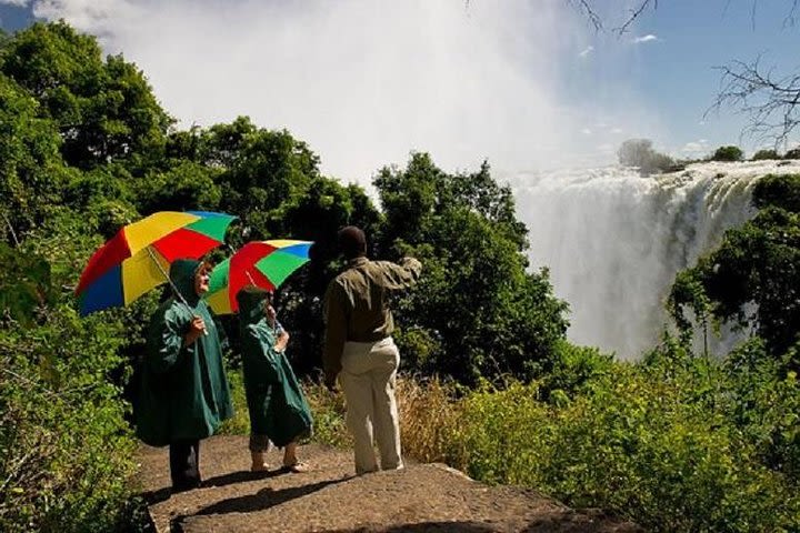 Comprehensive Guided Tour of the Falls  image