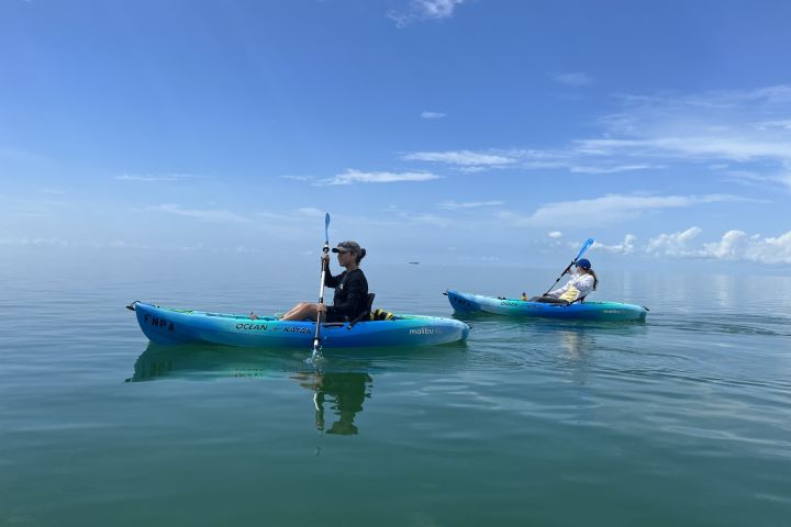 Kayak the Seagrasses of Stiltsville image