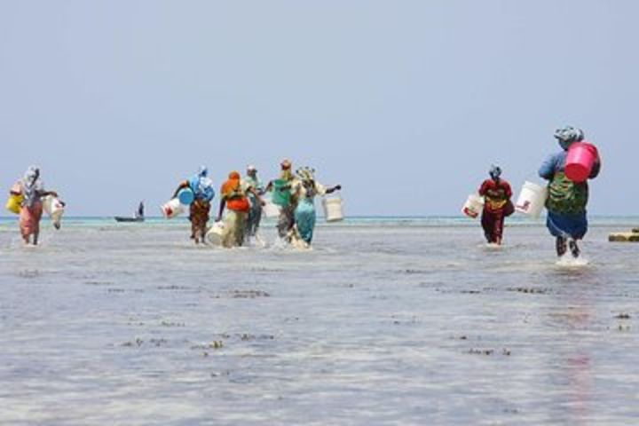 Nungwi Village Cultural Tour image