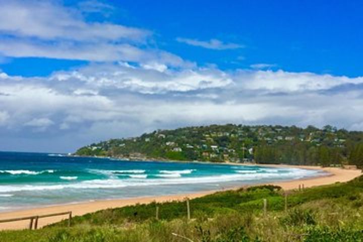  Small-Group Sydney's Northern Beaches and Ku-ring-gai National Park Bus Tour image