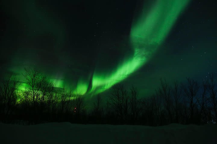 Incredible Northern Lights in Murmansk image