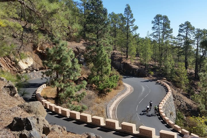 Road Cycling Tenerife - Teide Route image