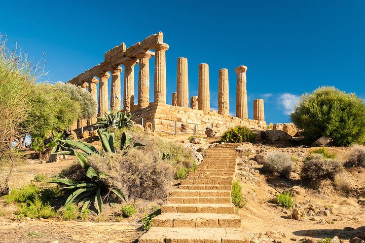 2-hour Private Valley of the Temples Tour in Agrigento image