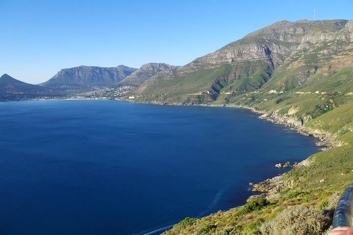 Half-Day Cape Peninsula Tour from Cape Town image