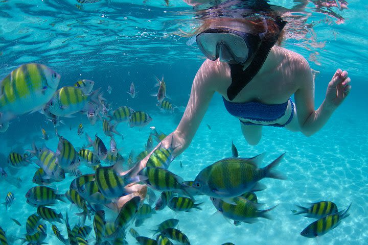 Sail/Snorkel Adventure from Sapphire Marina,STT NO CROWDS~ 6 GUEST MAX  image