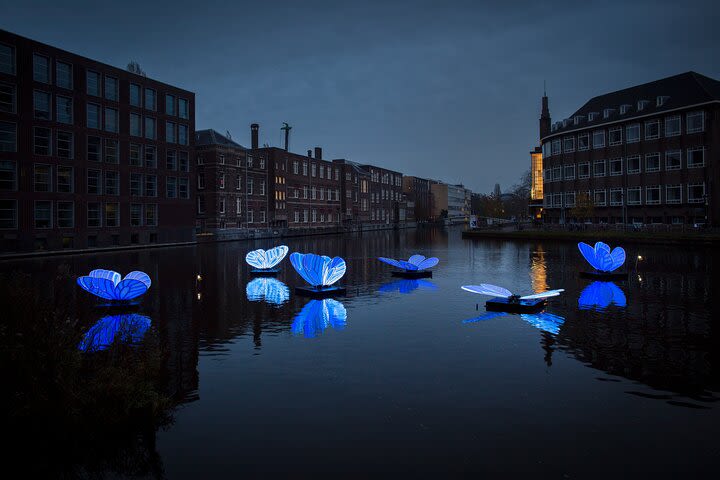 Amsterdam Light Festival Private Boat Tour with Drinks image