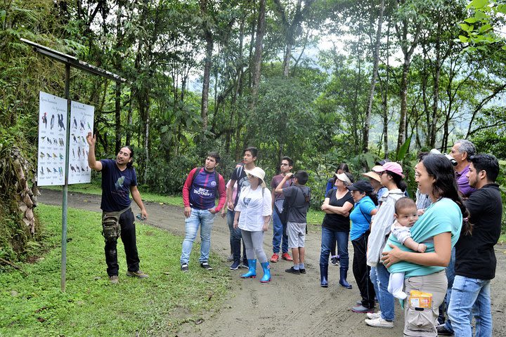 Tours Reserva biológica Buenaventura (Jocotoco) image