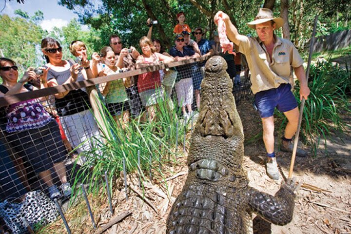 BOOK HERE - HARTLEY'S CROCODILE ADVENTURES Shuttle Cairns or Port Douglas return image