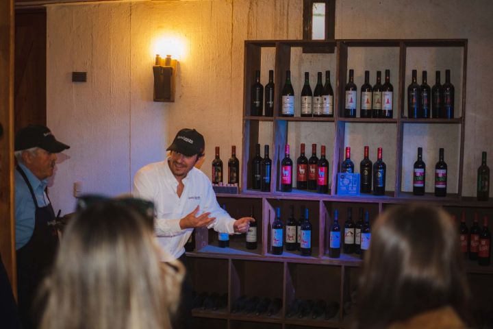  Tour Viña Santa Catalina: Cata de Vinos cerca de Santiago image