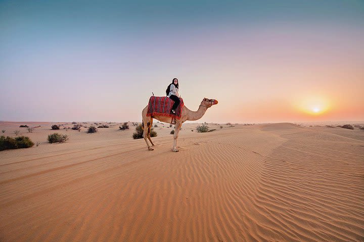 Premium Sundowner Red Dunes & Camel Safari with BBQ Dinner image