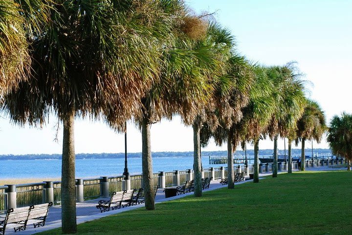 Private Historic Carriage Tour of Charleston image