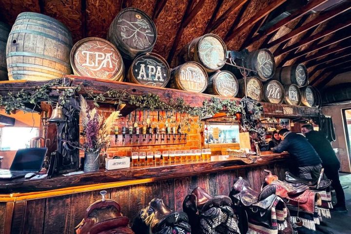 Bariloche Craft Beer Sensory Experience image