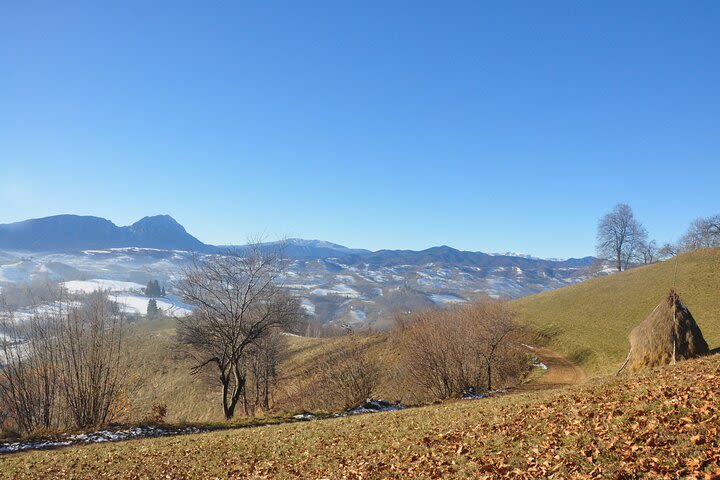 Rambling in Transylvania and Picnic with a View day tour image