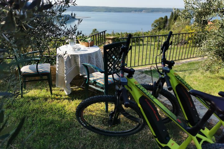 Electric Bike Tour Piran & Salt Pans image