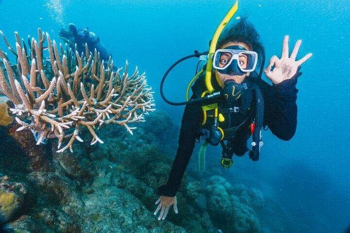 Advanced Open Water PADI Diving Course in Marsa Alam image