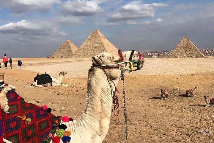 Pyramids luxury day tour image