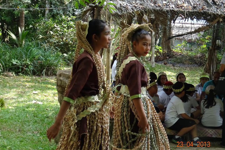 4 in 1 Day Tour Sea Gypsies, Monkey Feeding, Fireflies  image